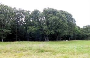 14 & 46 Lakeside Estates - Photo 4