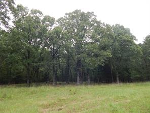 14 & 46 Lakeside Estates - Photo 9