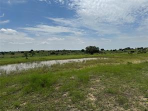 13130 US HWY 281 Highway - Photo 11