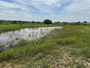 13130 US HWY 281 Highway - Photo 15