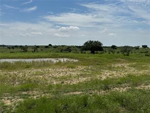 13130 US HWY 281 Highway - Photo 22