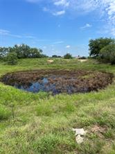 13130 US HWY 281 Highway - Photo 24