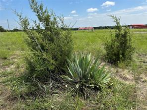 13130 US HWY 281 Highway - Photo 34
