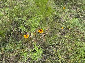 13130 US HWY 281 Highway - Photo 36