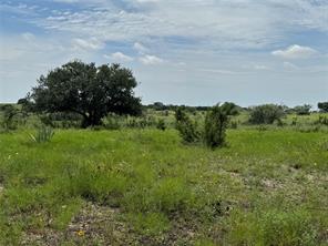 13130 US HWY 281 Highway - Photo 37