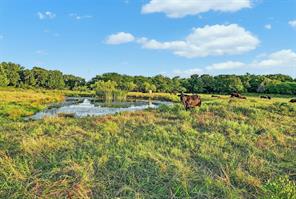 2340 Wright Road - Photo 3