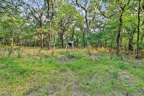 2340 Wright Road - Photo 39