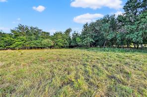 2340 Wright Road - Photo 40