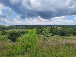 1395 Mountain Creek Road - Photo 11
