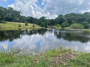 1395 Mountain Creek Road - Photo 7