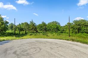 354 Trailride Lane - Photo 6
