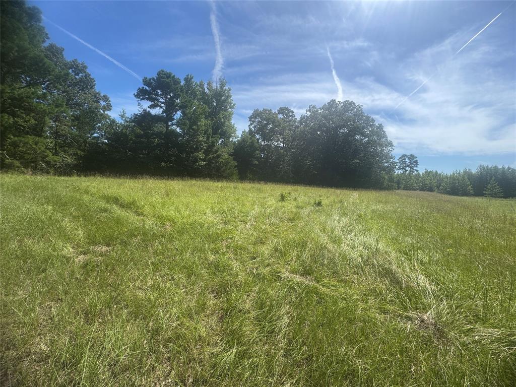 20.869 AC CR 4426 - Photo 1