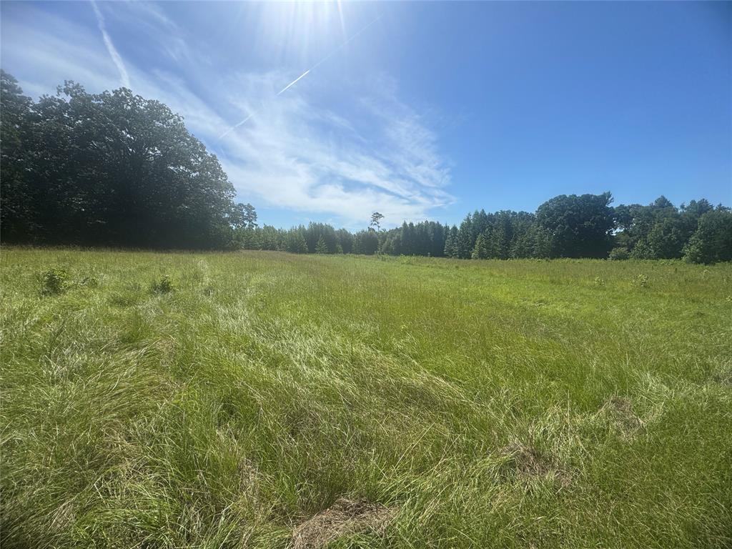 20.869 AC CR 4426 - Photo 2
