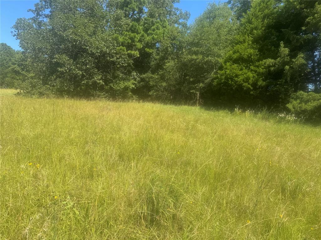 20.869 AC CR 4426 - Photo 5