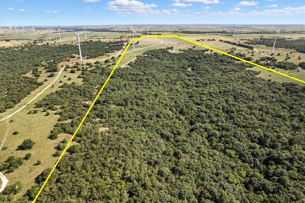 3207 County Road 431 - Photo 4