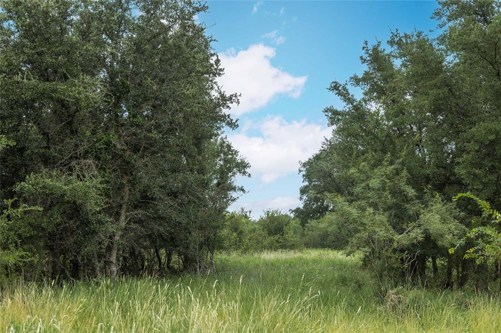 332 Ledge Stone - Photo 16