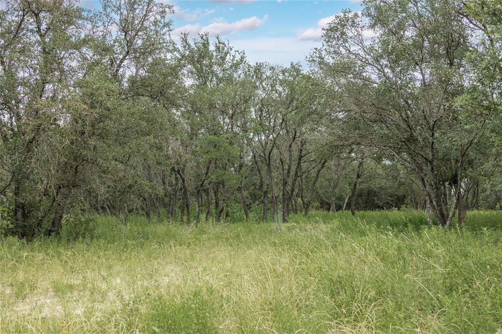 332 Ledge Stone - Photo 34
