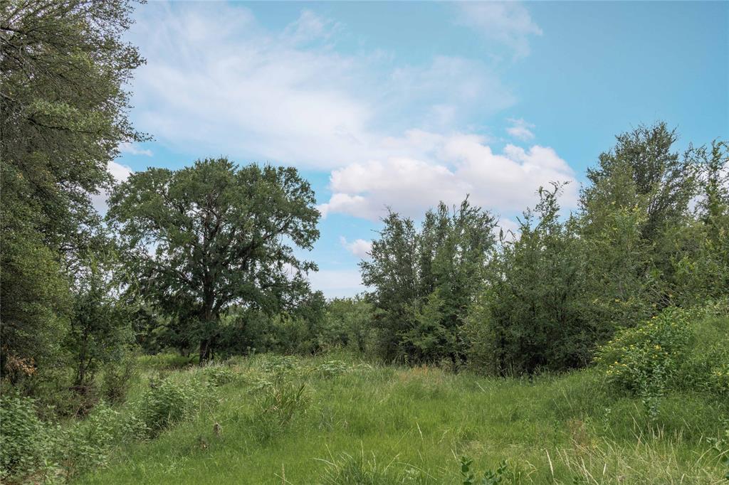 332 Ledge Stone - Photo 6
