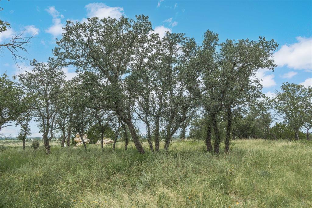 332 Ledge Stone - Photo 8
