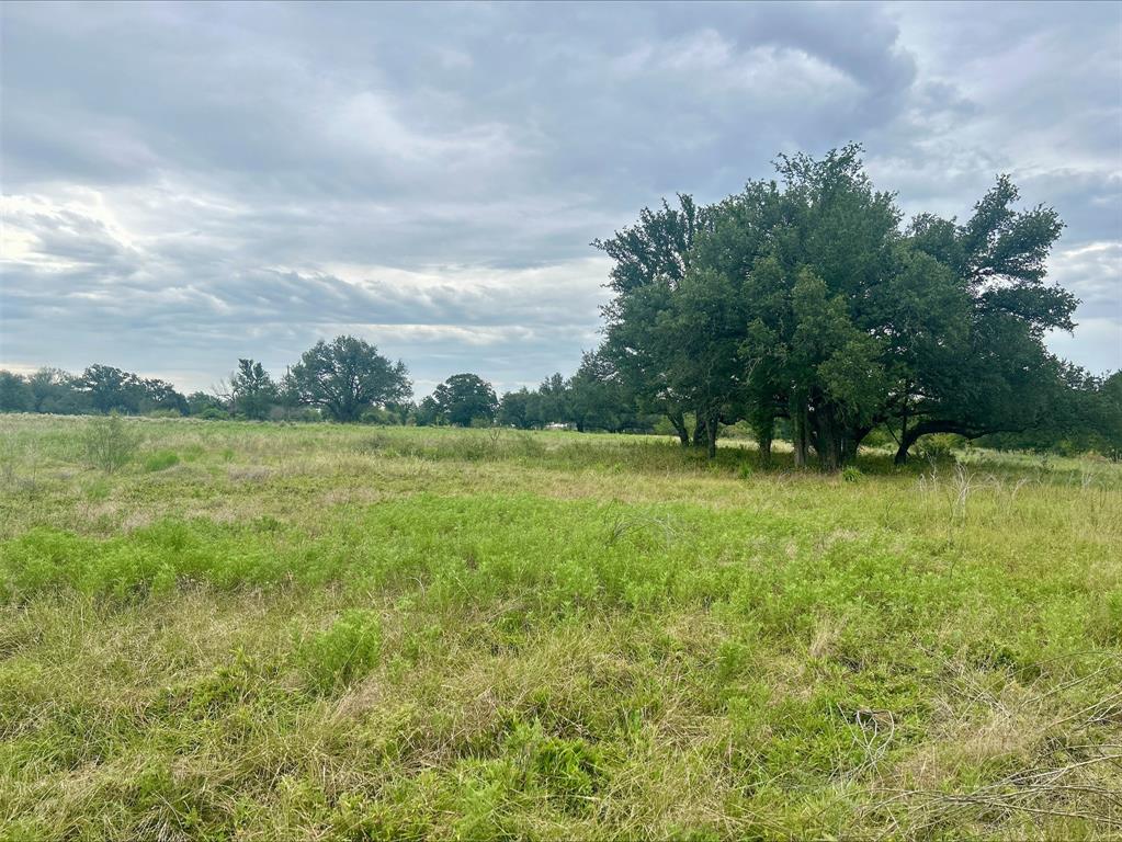 Lot 9 County Road 380 - Photo 10