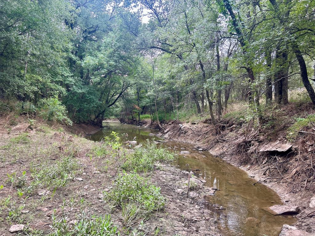 Lot 9 County Road 380 - Photo 12
