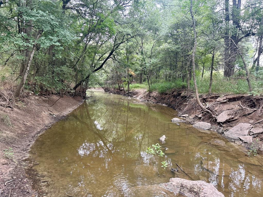Lot 9 County Road 380 - Photo 13