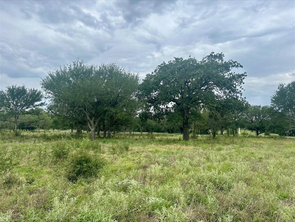 Lot 9 County Road 380 - Photo 16