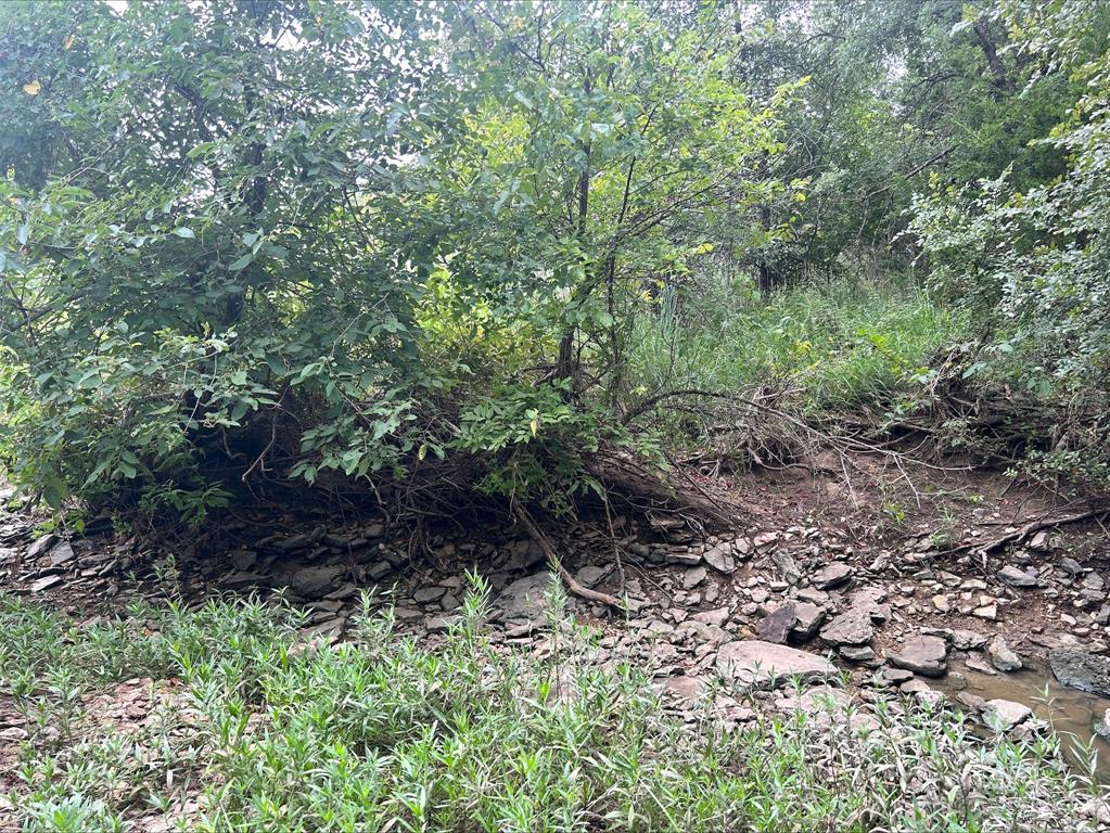 Lot 9 County Road 380 - Photo 20