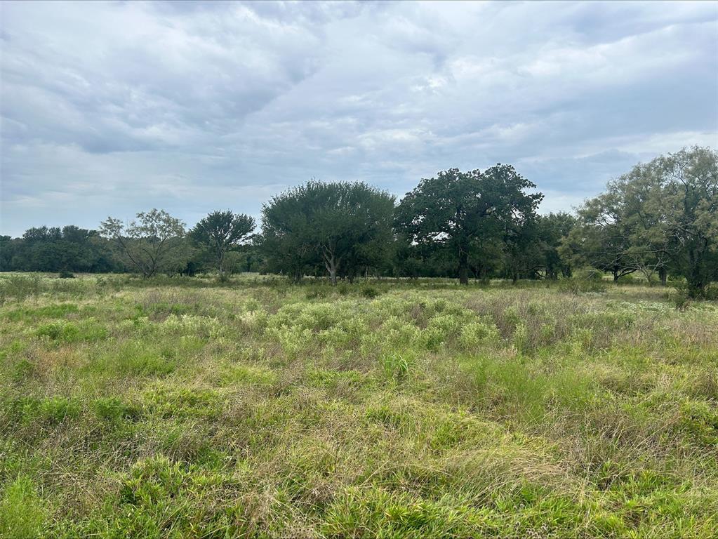 Lot 9 County Road 380 - Photo 21
