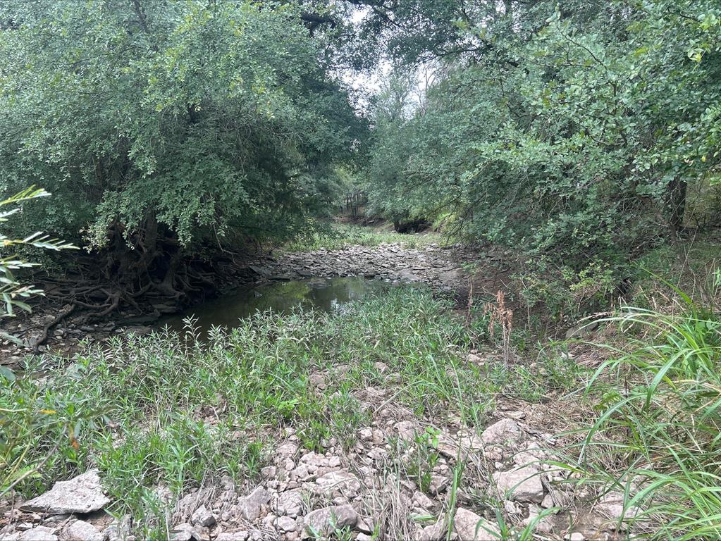 Lot 9 County Road 380 - Photo 22