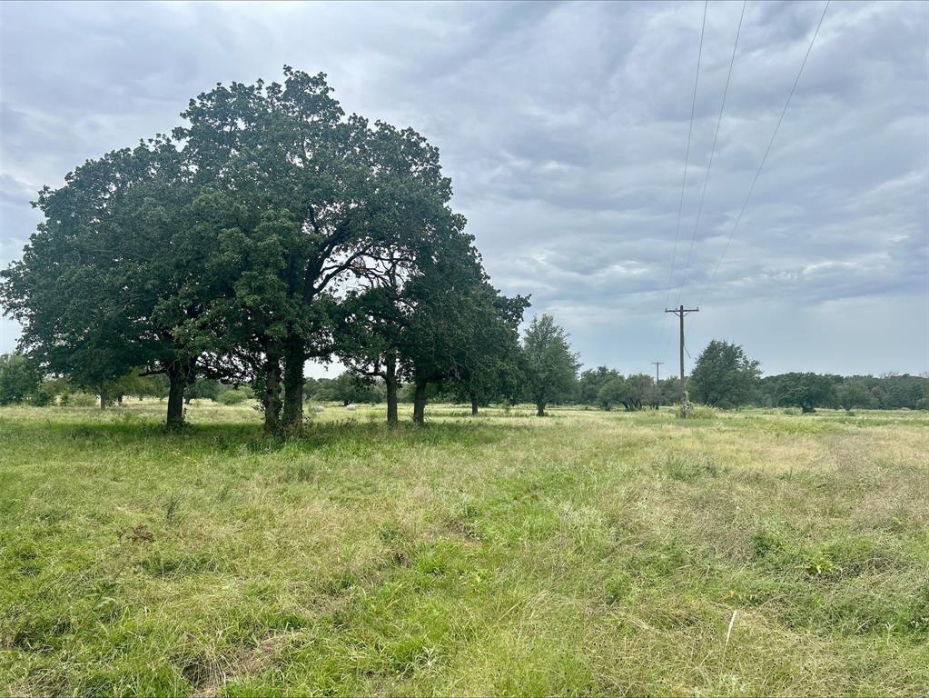 Lot 9 County Road 380 - Photo 24