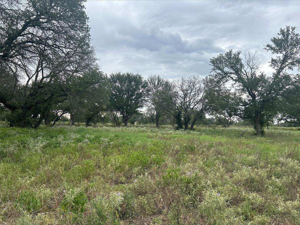 Lot 9 County Road 380 - Photo 25