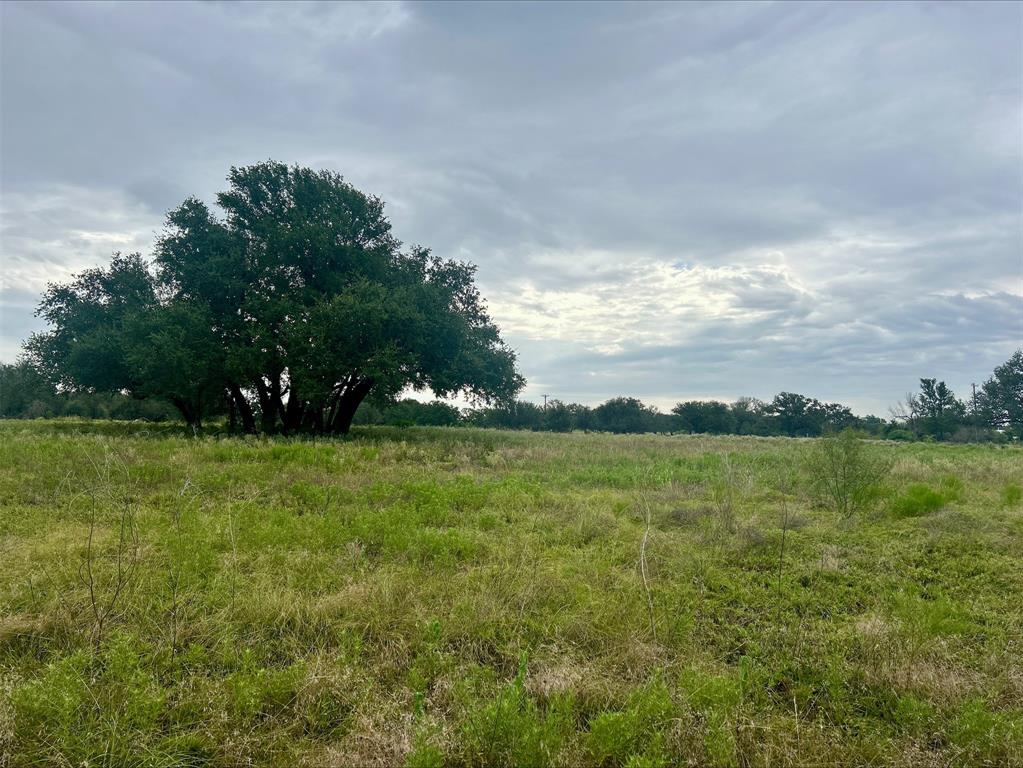 Lot 9 County Road 380 - Photo 26
