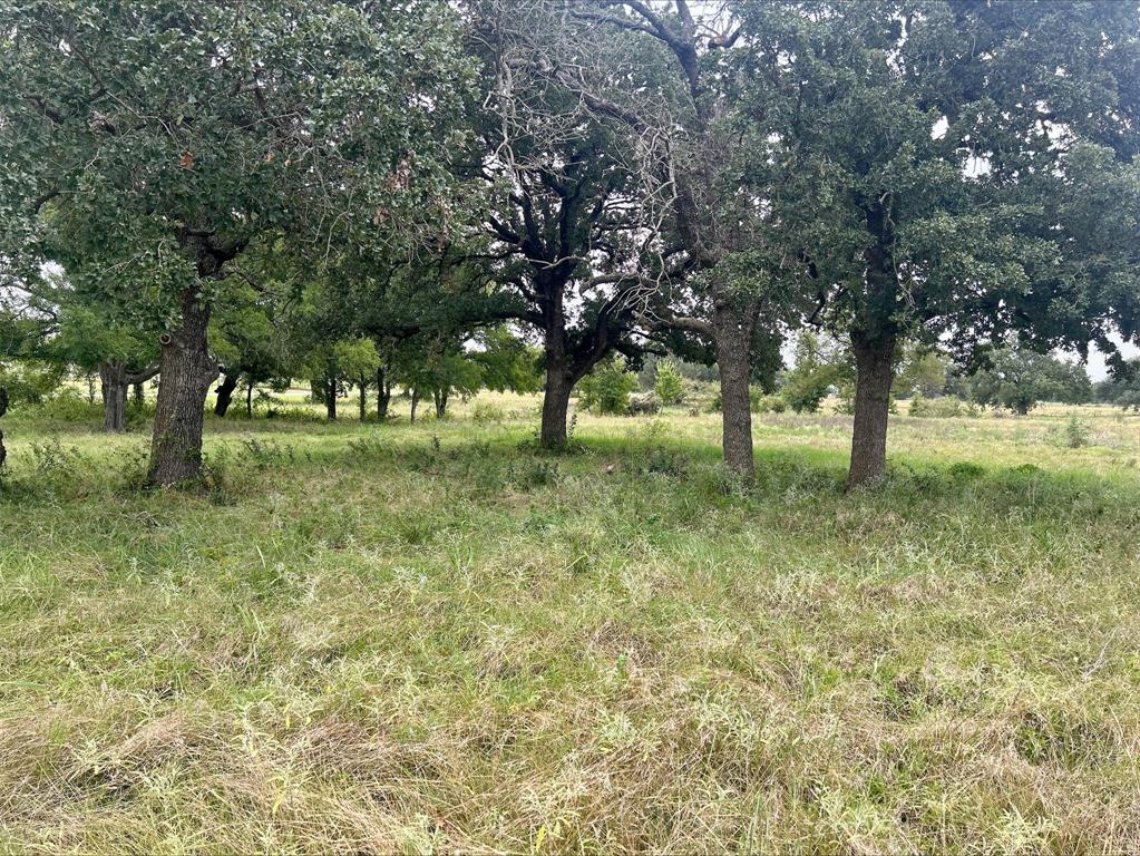 Lot 9 County Road 380 - Photo 27