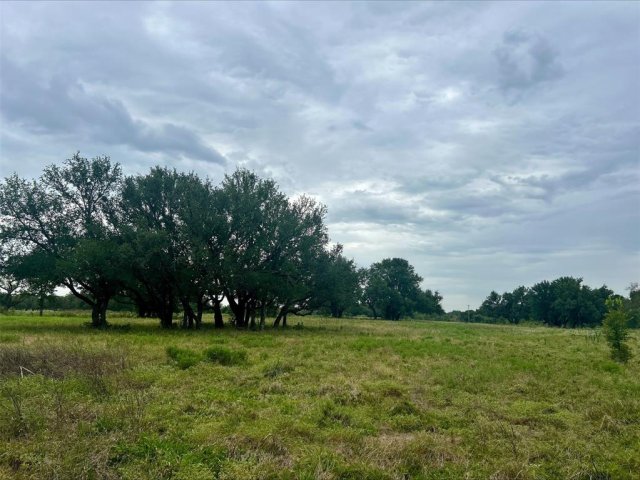 Photo 28