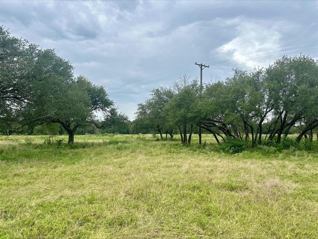 Lot 9 County Road 380 - Photo 8