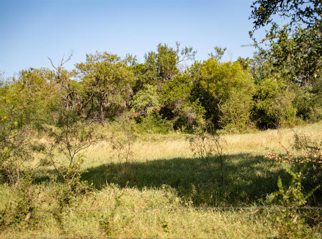 4171 Pleasant Valley Road - Photo 20