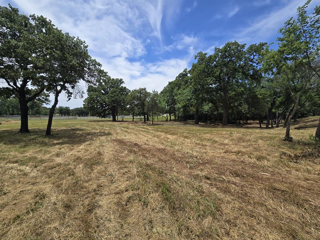 4401 Red Rock Lane - Photo 5