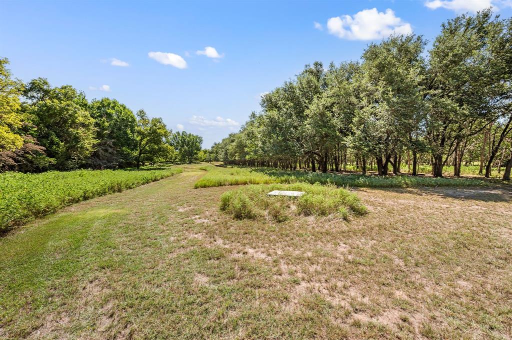 13109 Roanoke Road - Photo 13