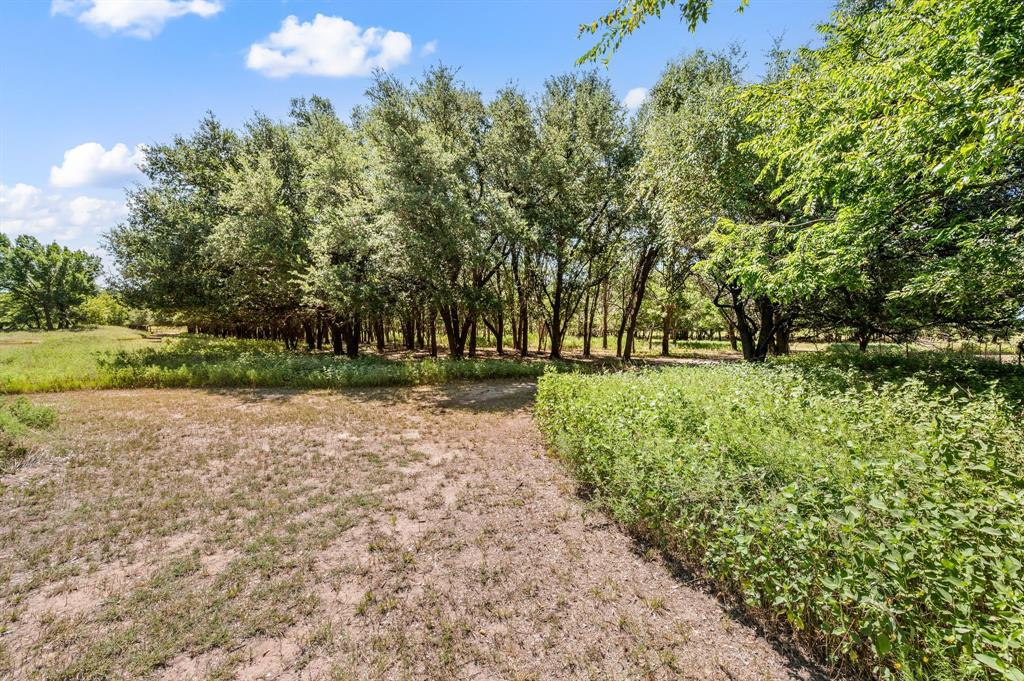 13109 Roanoke Road - Photo 14
