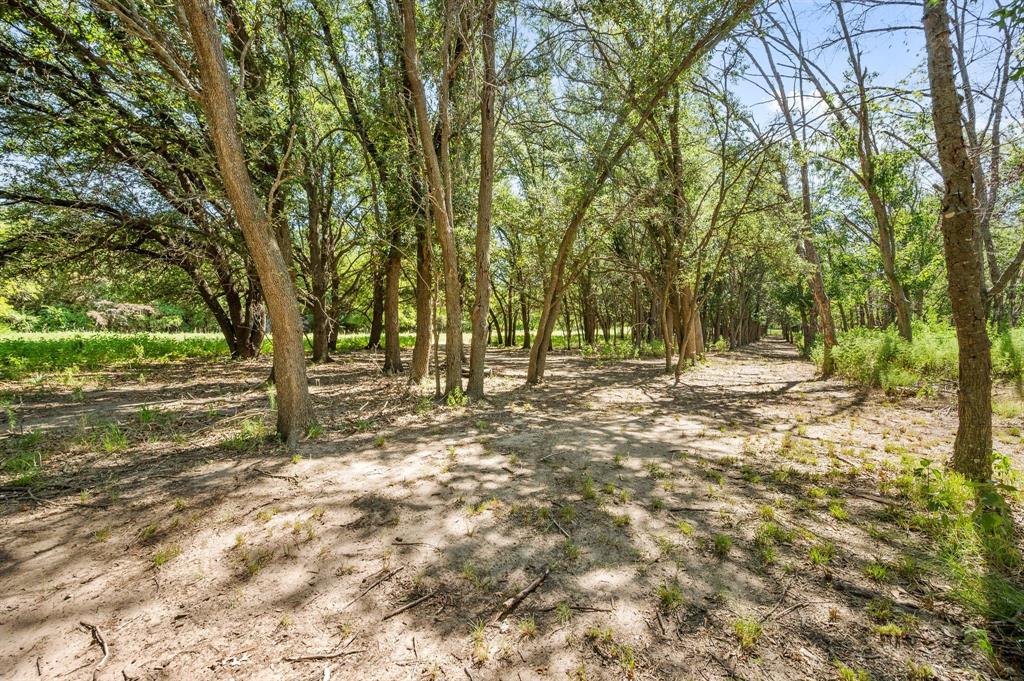 13109 Roanoke Road - Photo 15