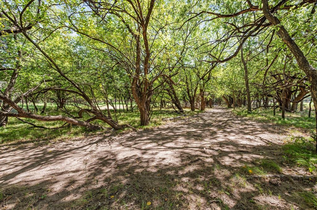 13109 Roanoke Road - Photo 16