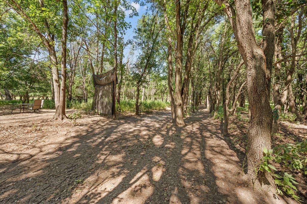 13109 Roanoke Road - Photo 18