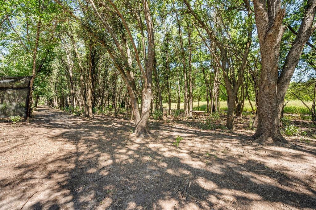 13109 Roanoke Road - Photo 19