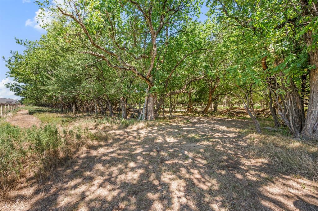 13109 Roanoke Road - Photo 21
