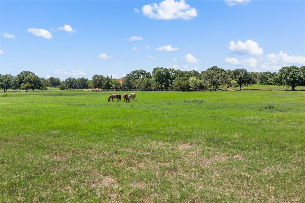 13109 Roanoke Road - Photo 22