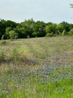 35 Longview Creek Trail