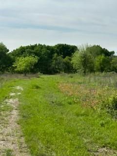 35 Longview Creek Trail - Photo 2