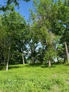 35 Longview Creek Trail - Photo 3