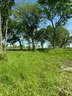 35 Longview Creek Trail - Photo 4